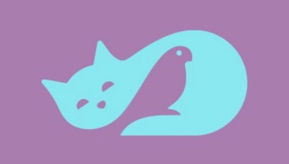 En esta imagen, cuyo fondo es de color morado, se aprecia el dibujo de un gato y el de un ave. (Foto: MDZ Online)