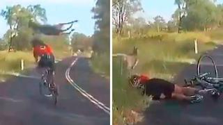 Montar bicicleta nivel Australia: canguro atacó salvajemente a mujer mientras paseaba [VIDEO]