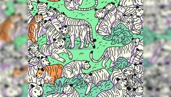 Pon a prueba tu capacidad visual en este reto y trata de encontrar a la cebra entre los tigres. (Foto: genial.guru)