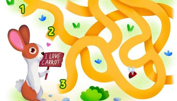 En esta imagen hay tres caminos. Averigua cuál es el que debe tomar el conejo para hallar las zanahorias. (Foto: genial.guru)