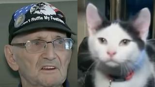 “Fluffy, eres mi única esperanza”: la historia de cómo un gato salvó la vida de su anciano dueño