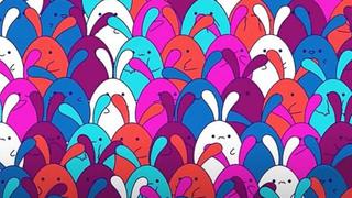 Reto viral: encuentra el huevo escondido entre los conejos en menos de 30 segundos