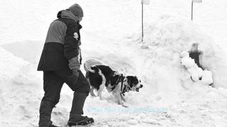 Quedó “enterrado” bajo la nieve y captó el momento en que una perrita de montaña lo rescató