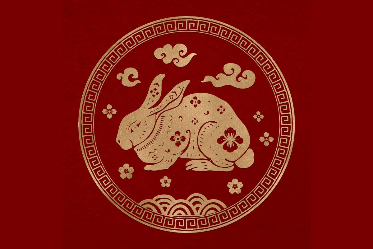 Horóscopo Chino 2023, predicciones: qué animal te representa el nuevo año  en China y cuándo empieza a regir | Predicciones, Conejo de Agua |  Astrología | Tarot | MEXICO | DEPOR