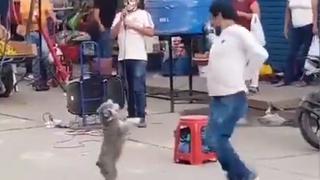 Lo más tierno que verás en esta cuarentena: perro baila huaylas con su dueño en la calle y es furor en redes sociales [VIDEO]