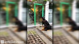 Mujer asiste a cajero con tres perros doberman para alejar posibles ladrones