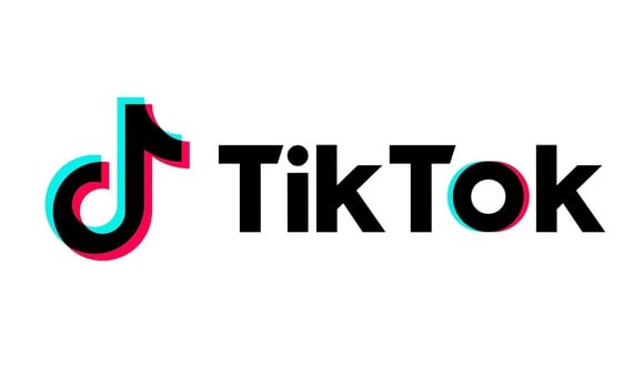 ¿Quieres crear un TikTok con tus fotos antiguas? ¿Compartir con todos cómo ha crecido tu perrito? Entonces este es el truco que debes realizar. (Foto: TikTok)