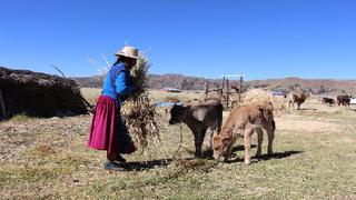 Bono Rural 760 soles: cómo ver si soy un beneficiario y todo lo que debes saber del subsidio del Gobierno