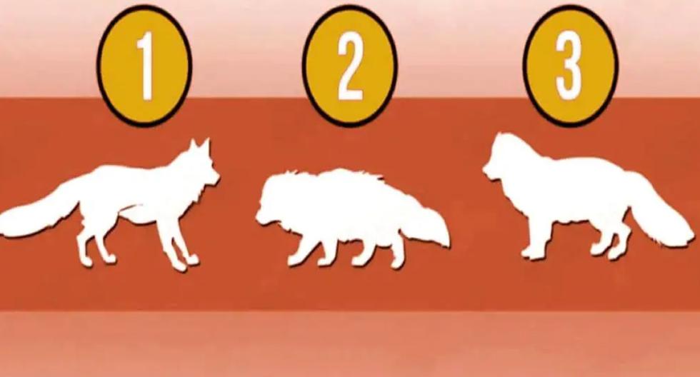 Look at the picture and choose the strongest wolf: your answer will reveal your personality |  Personality Test |  Mexico