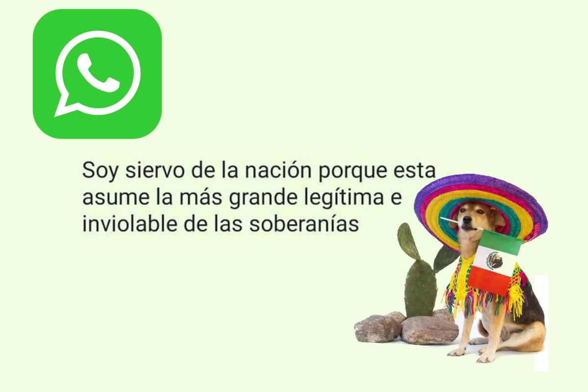 Cómo instalar WhatsApp Plus “morado” - LA NACION