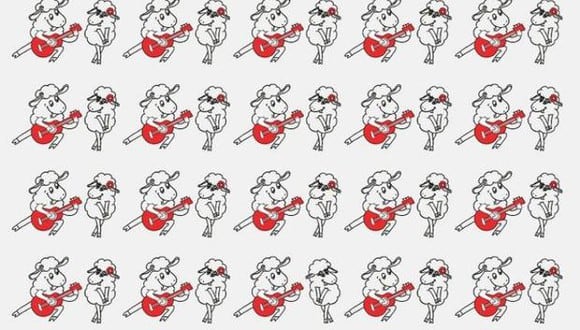 Observa las ovejas rockeras y descifra qué pareja del acertijo visual es diferente a todas. (Foto: Genial.Guru)