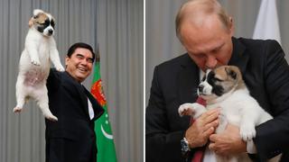 Viral: Vladimir Putín reacciona frente a duro trato hacia cachorrito