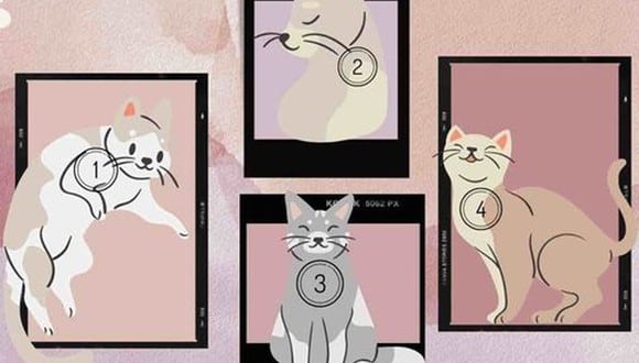 Observa atentamente los diferentes gatos de la imagen y selecciona el que más te guste. Luego, descubre qué aspecto de tu personalidad oculta revela tu elección. (ilgranata.it)