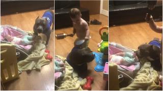 ¡El ‘Pitbull-niñera’ sí existe! Perrito es viral en redes por la forma cómo cuida de dos bebés [VIDEO]