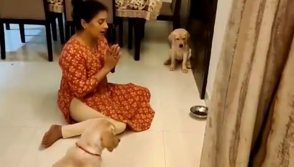 Un video viral muestra cómo una mujer logró enseñarles a sus perritos a orar antes de ingerir los alimentos. | Crédito: @mathur_vaishali / Twitter