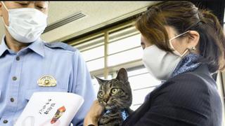 Gato con diploma de la policía de Tokio por salvar la vida a un anciano [VIDEO]