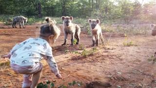 Niña se divierte jugando con una manada de hienas