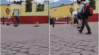El video viral del perrito que finge estar lastimado para que lo acaricien 