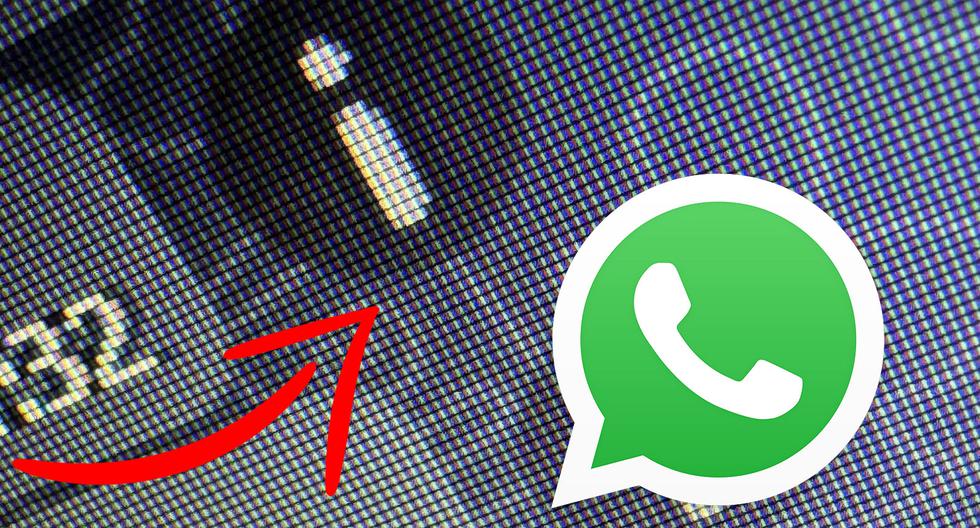WhatsApp: What does the “i” symbol mean in your conversations |  Sports play