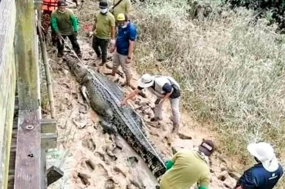 El pasado 26 de julio un cocodrilo atacó a Ricky Ganya, quien estaba a orillas del río recolectando caracoles.| Foto: ViralPress. (Desliza hacia la izquierda para ver más imágenes).