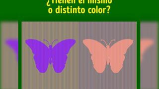 ¿Las mariposas tienen el mismo color? El increíble reto viral que desafía tu sentido de la vista