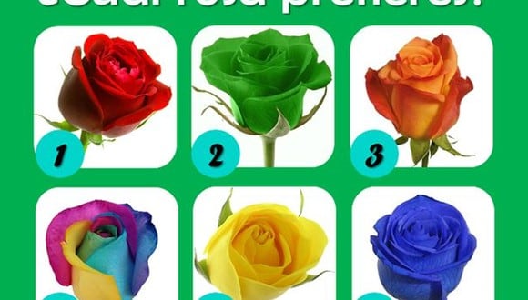 TEST VISUAL | Cada elección es un vistazo a tu ser interior. ¡Sumérgete en esta prueba única y descubre qué revela tu flor favorita sobre ti!