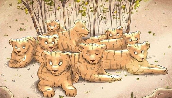 En esta imagen trata de encontrar el jaguar escondido en el bosque donde descansa un grupo de tigres. (Foto cortesía brightside)