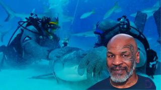 Mike Tyson nada con peligrosos tiburones y atrapa a uno entre sus manos  [VIDEO]