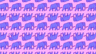 Reto viral: tienes que encontrar a los 2 elefantes entre los mamuts en 30 segundos