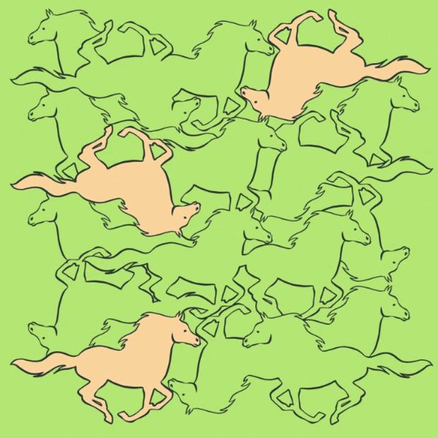 In this image, whose background is green, the location of the 3 horses that are complete is indicated.  Photo: cool.guru)