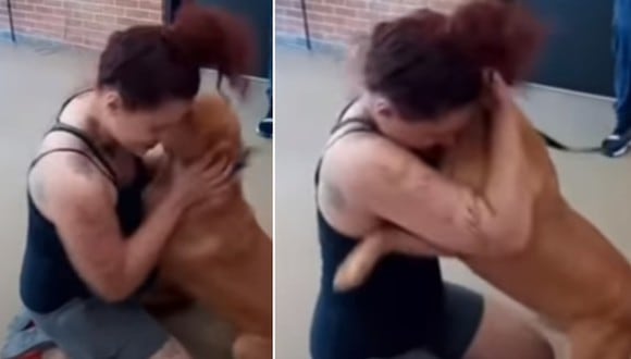 Una joven decidió buscar una nueva mascota en un refugio y acabó encontrando a su perro perdido hace 2 años. (Foto: 6abc Philadelphia / YouTube)