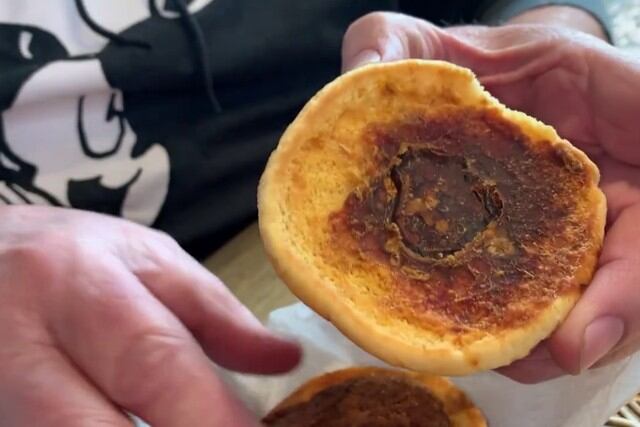 Todo comenzó cuando olvidó que tenía guardado el bocadillo en uno de los bolsillos de su abrigo, que terminó a parar en un armario por mucho tiempo. (Foto: KUTV 2News en Facebook)