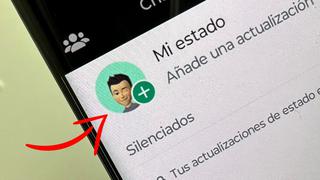 WhatsApp: truco para saber quién vio tu estado sin abrir la app