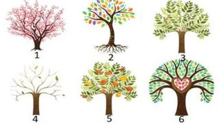 Descubre qué te depara el destino con este test viral: elige uno de los 6 árboles y listo