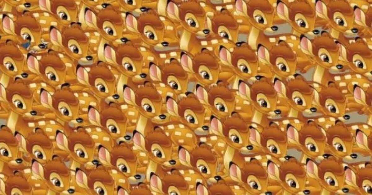Ubica a Tambor escondido entre los Bambi de este desafío visual. (Pinterest)