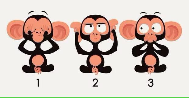 Choose one of the three monkeys in the visual test and reveal what they think about you.  (Photo: Cool.Guru)