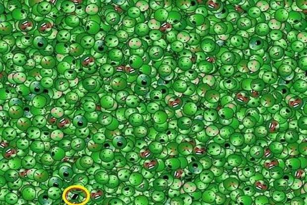 We have highlighted the smiling pea in this image.  (Photo: Playbuzz)