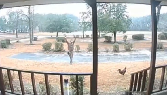 Gran impacto causó un gallo guardián que trató de impedir que un repartidor se acercara a su casa. (Foto: AJ Taylor / Facebook)