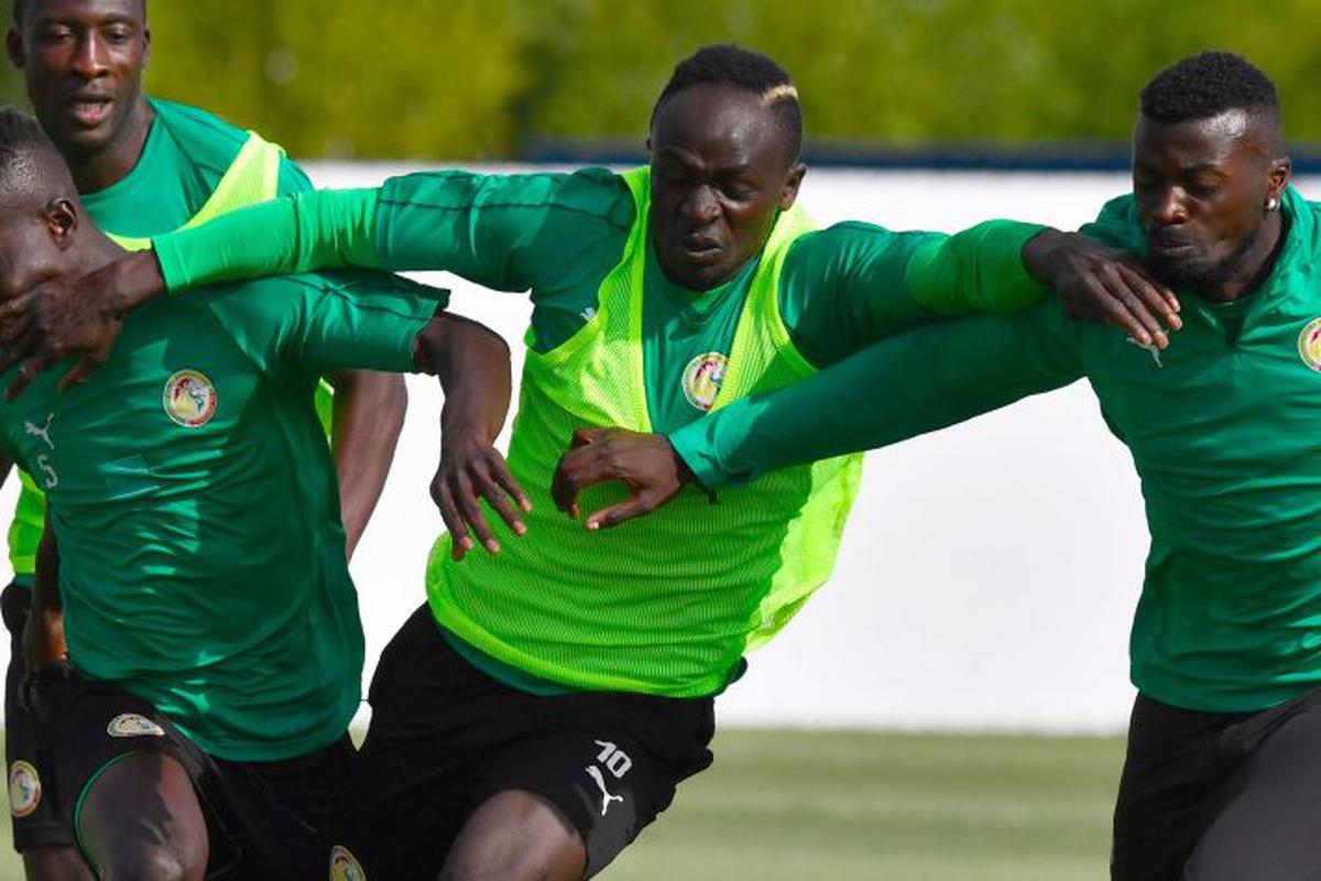 Polonia vs Senegal: datos sobre los rivales africanos de Lewandoski |  MUNDIAL | DEPOR