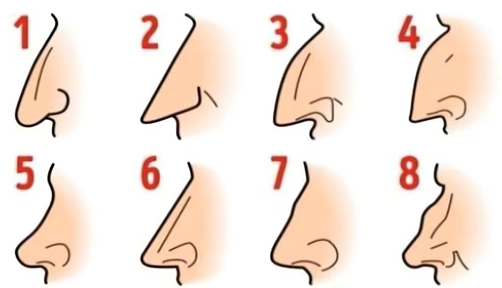 ¿Cómo es tu nariz según este test de personalidad? Descubre su significado ahora (Foto: GenialGuru).