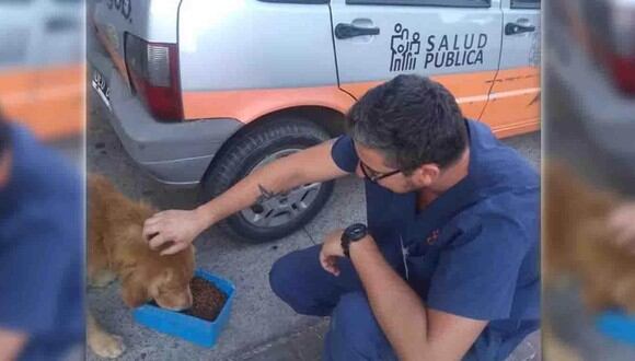 Veterinaios y autoridades de zoonosis le dan asistencia a los perros callejeros en Córdoba. (Foto: Carlos Paz Vivo).