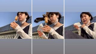 Viral: Astuta águila sorprende y roba alimento a joven asiática