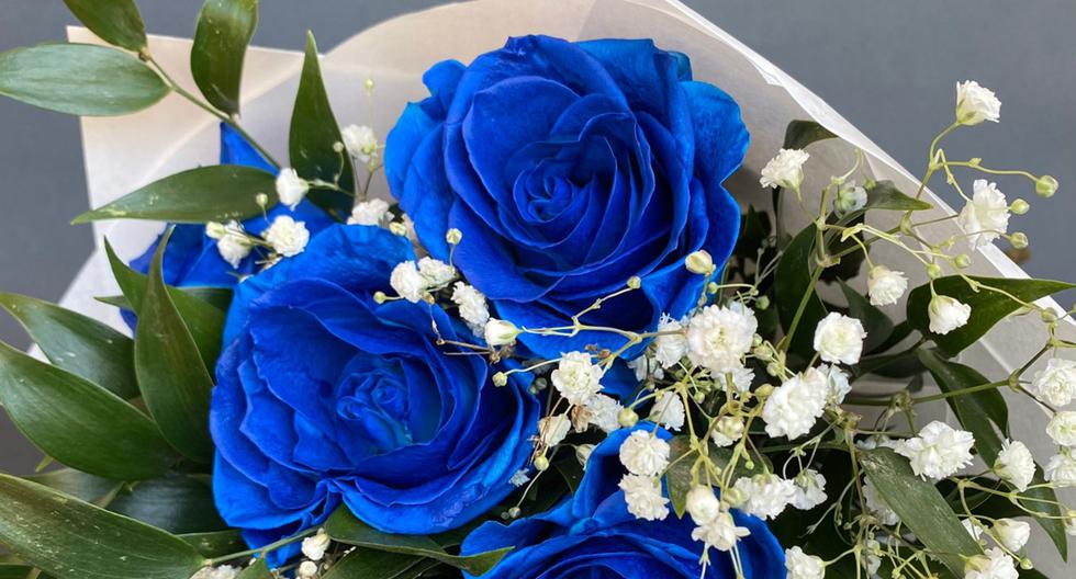 Por qué se regalan el 3 de octubre flores azules en México? | Día del Novio  2023 | México | Perú | MEXICO | DEPOR