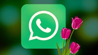WhatsApp: cómo programar saludos por el Día de la Madre