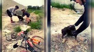 Video viral: Perrito atrapado agradece que lo liberen