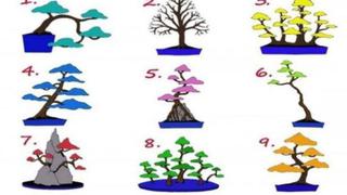 Prueba psicológica viral: conoce cómo te irá en el amor con solo escoger un árbol en el test
