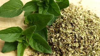 Cómo preparar té de orégano y disfrutar sus beneficios