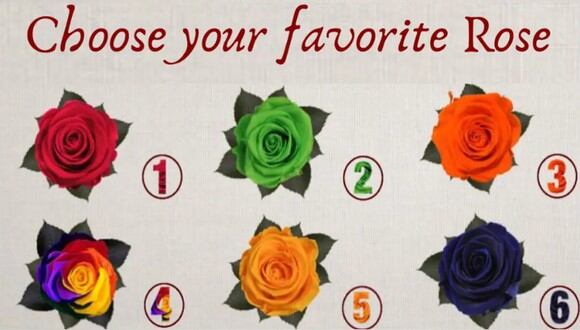 TEST VISUAL | En esta imagen se pueden apreciar bastantes rosas. Tienes que elegir a tu favorita. (Foto: namastest.net)