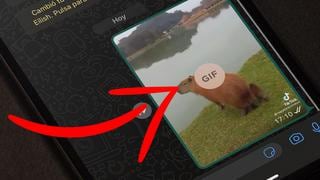 WhatsApp: cómo convertir tus videos en GIF