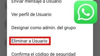 El truco para saber a qué personas eliminó el administrador de un chat grupal de WhatsApp